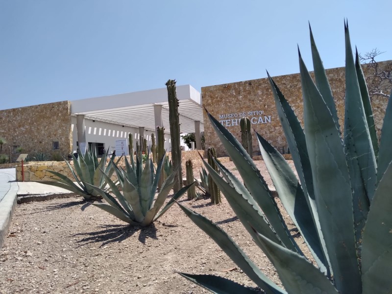 Zona arqueológica inició vacaciones con buena afluencia, lunes estará abierto