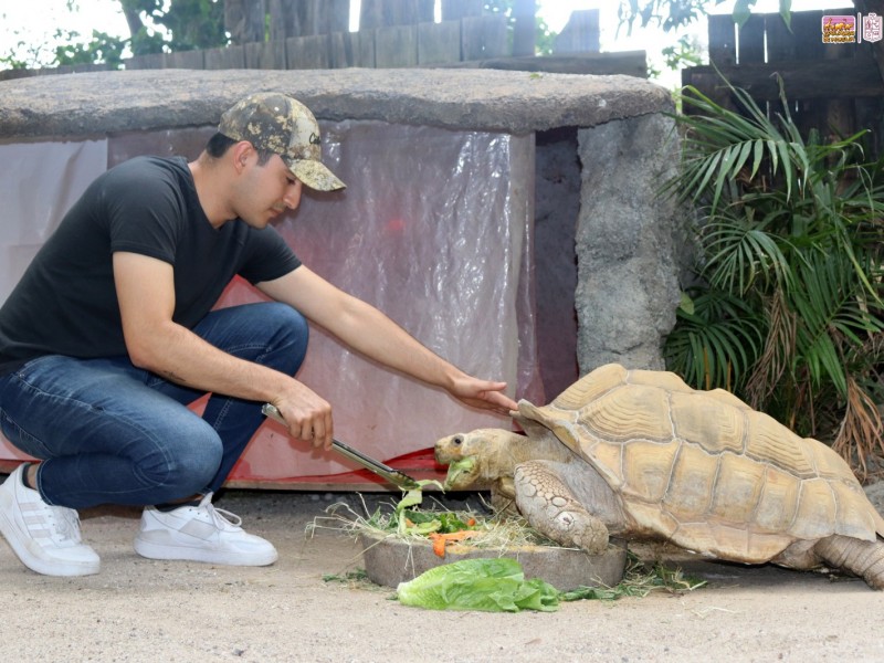 Zoo de Morelia amplía su horario en vacaciones decembrinas