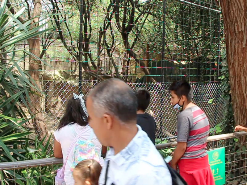 Zoo León coloca mallas y personal luego de incidente