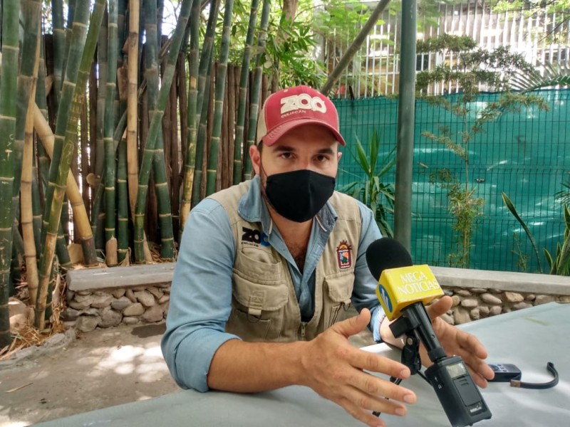 Zoológico de Culiacán cumple con las medidas sanitarias: Director