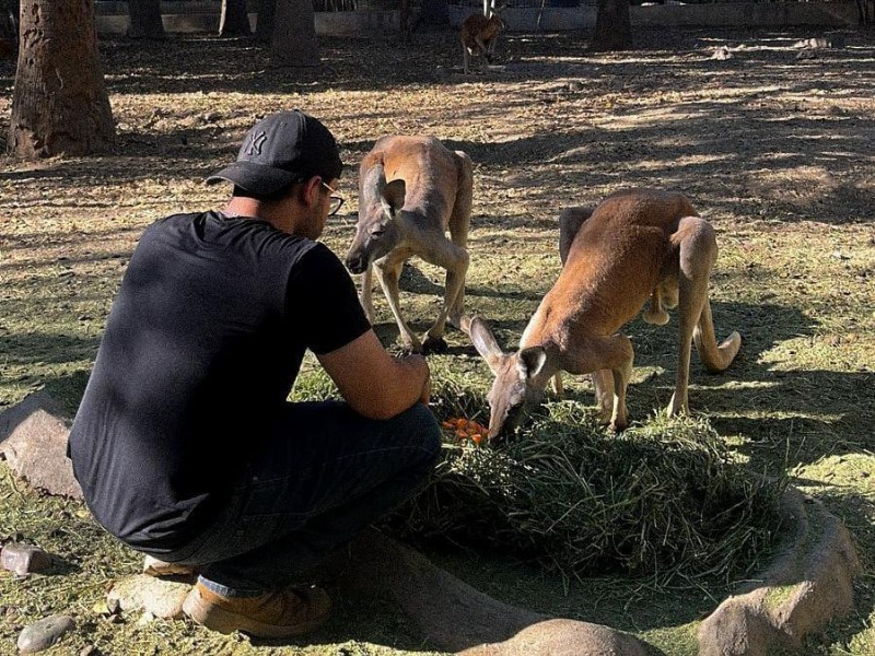 Zoológico de Culiacán inicia reordenamiento tras cambio de administración