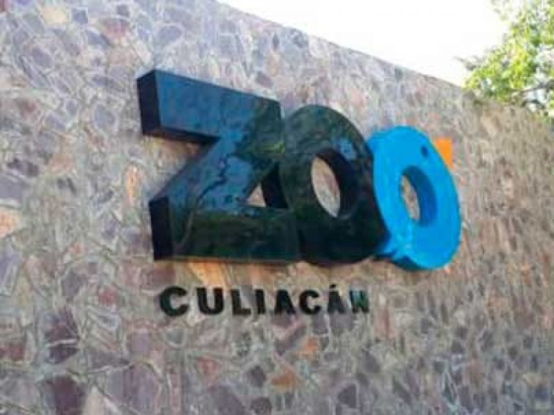Zoológico de Culiacán. Lugar especial para estas vacaciones