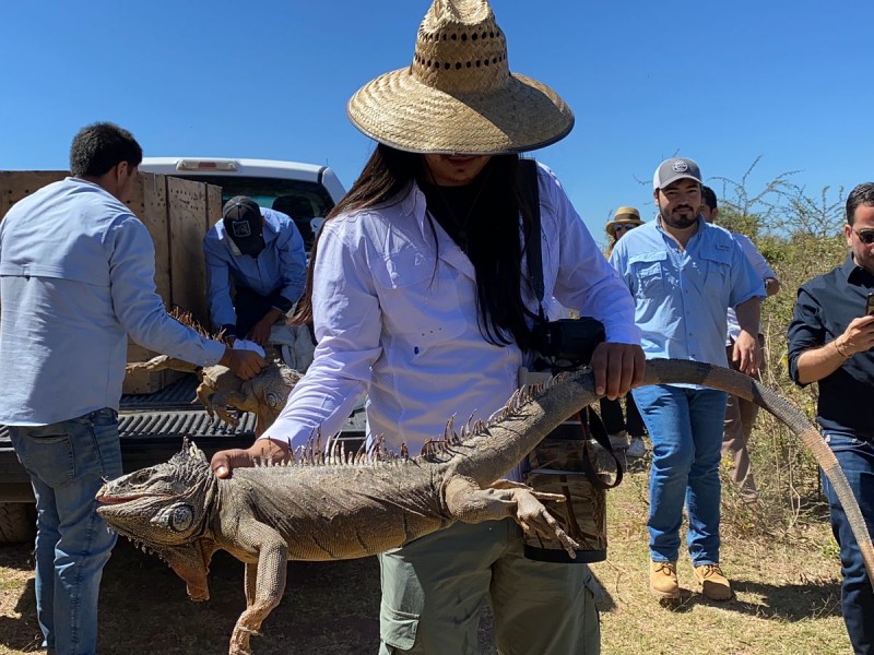 Zoológico de Culiacán reportan menos reportes a unidad de rescate