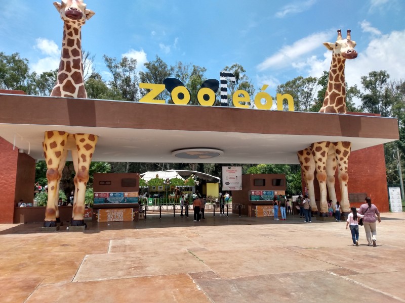 Zoológico de León tienen finanzas sanas asegura Director