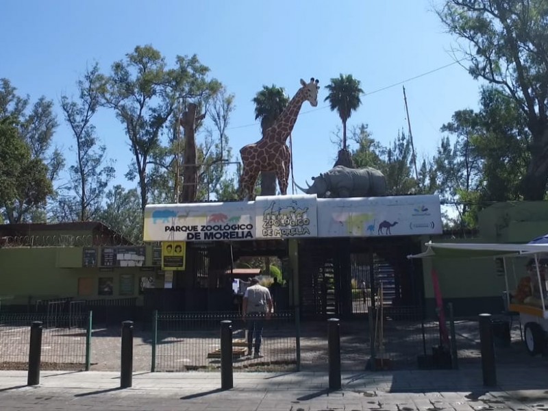 Zoológico de Morelia abrirá de jueves a domingo