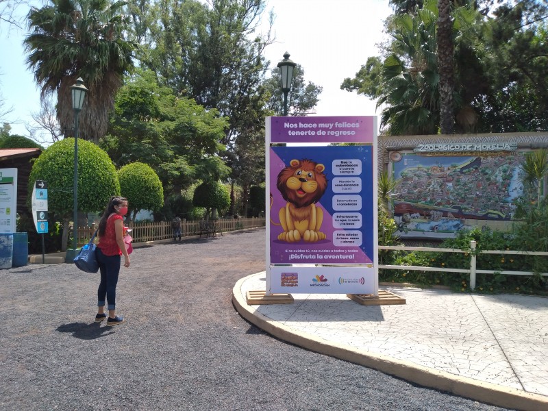 Zoológico de Morelia, dispuesto a recibir hasta 10 ejemplares rescatados