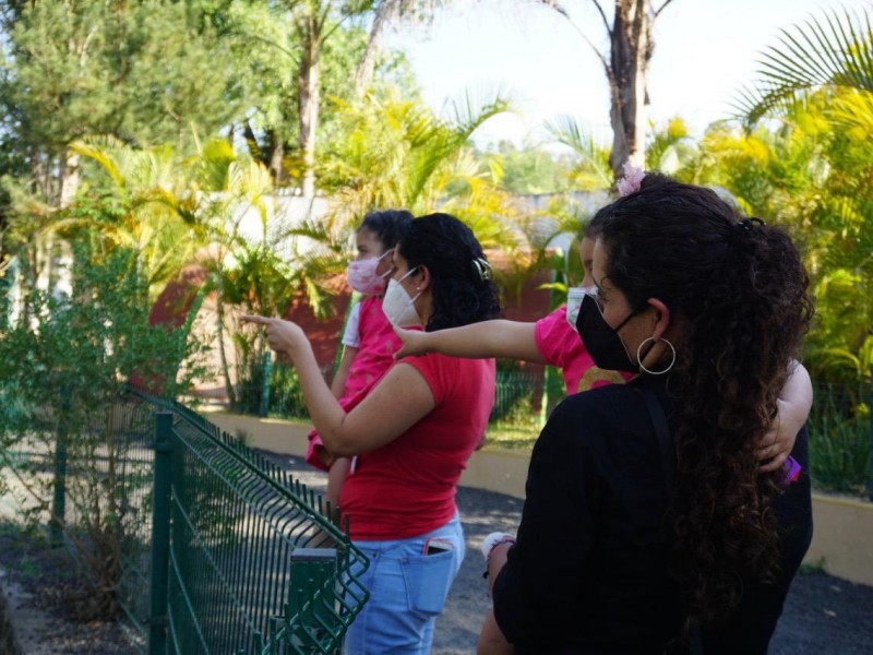 Zoológico de Morelia mantendrá abiertas sus puertas en Semana Santa