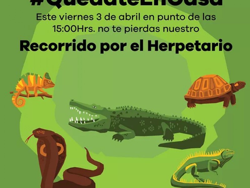 Zoológico de Morelia realizará recorrido por Herpetario vía  Facebook