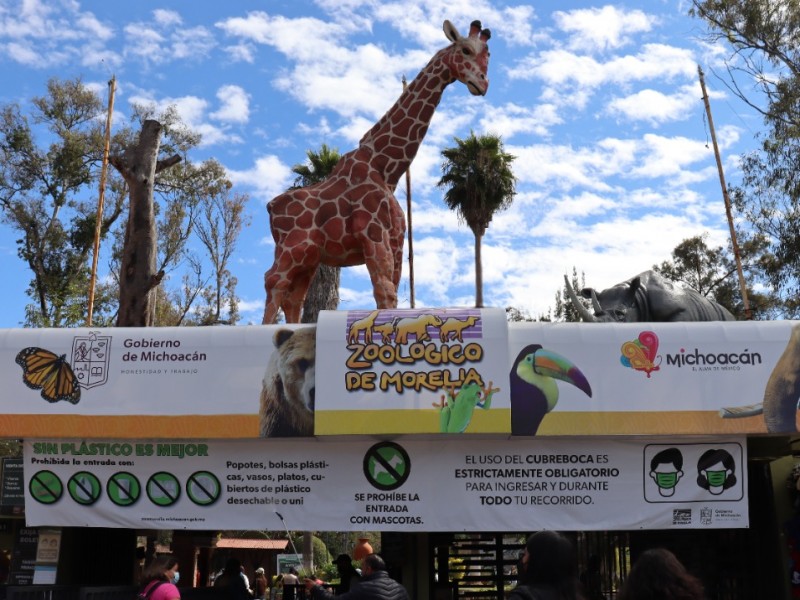 Zoológico de Morelia se prepara para recibir 45 mil visitas