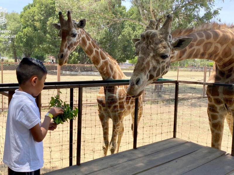 Zoológico espera más de 45 mil visitantes en Semana Santa
