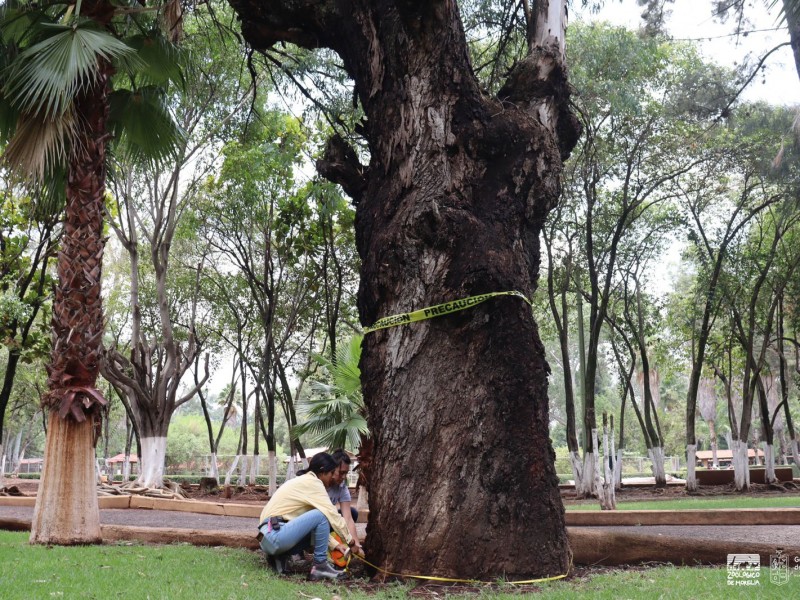 Zoológico realiza censo forestal para el registro de especies