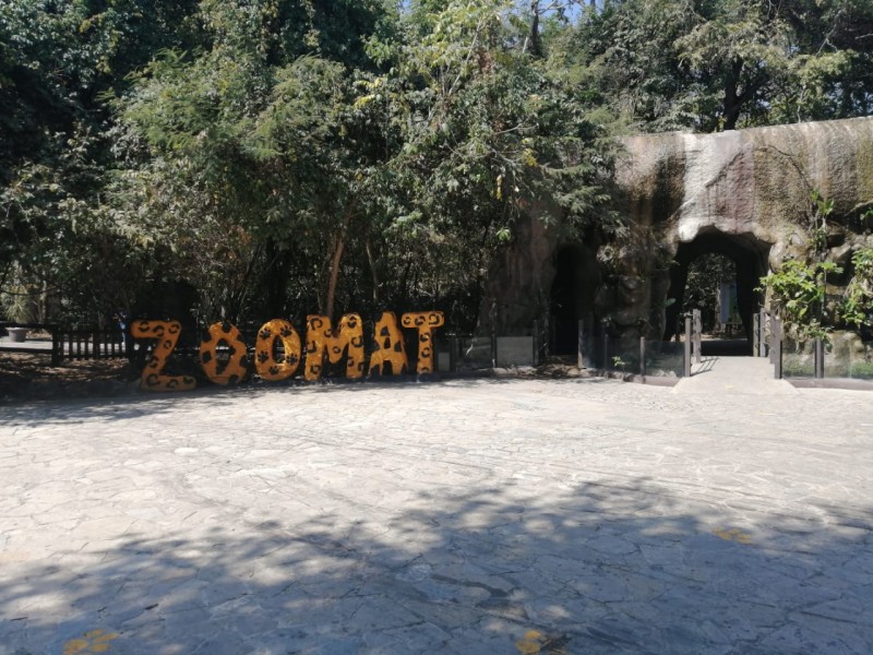 ZooMAT y centros turísticos en TGZ lucen vacíos