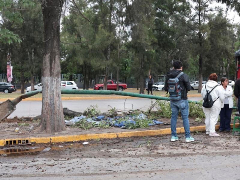 Árbol cae sobre familia tras accidente vehicular frente a hospital poblano